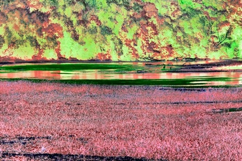 L 039C